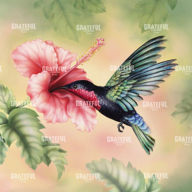 Purple-Throated Carib