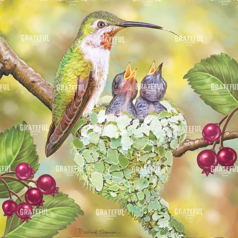 Momma Hummingbird And Nestlings