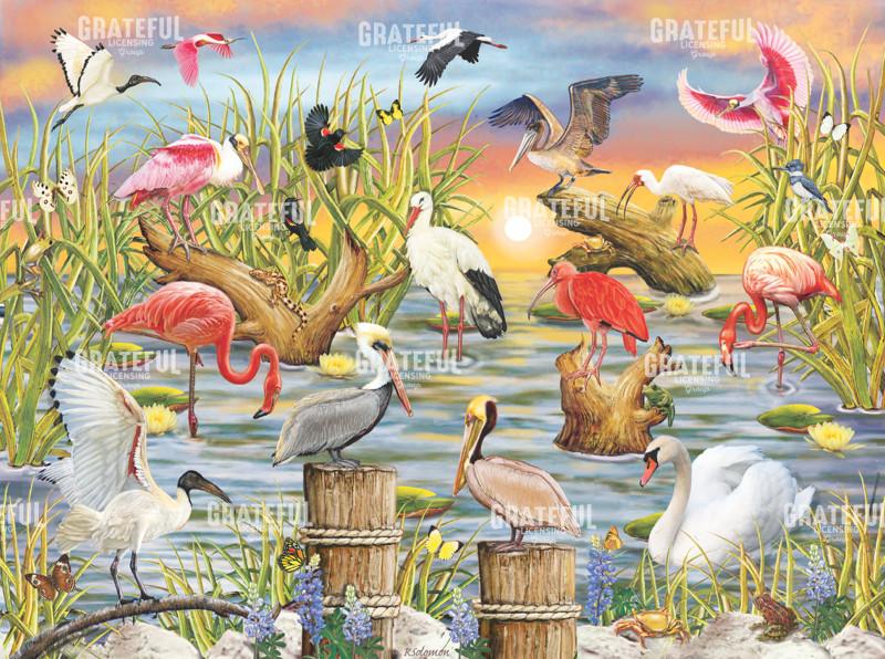 Fabulous Waterbirds