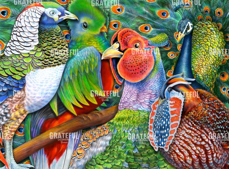 Exotic Birds Collage_300dpi_TimJeffsArt.tif