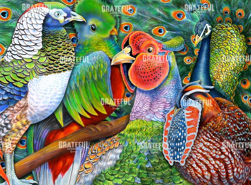 Exotic Birds Collage_300dpi_TimJeffsArt.tif