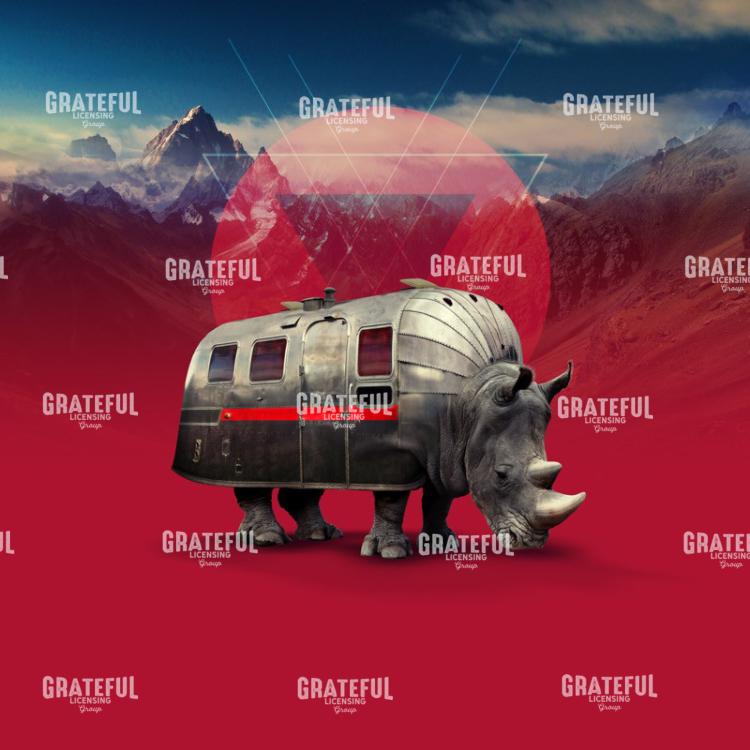 Rhino