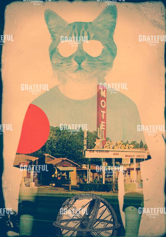 Cool Cat