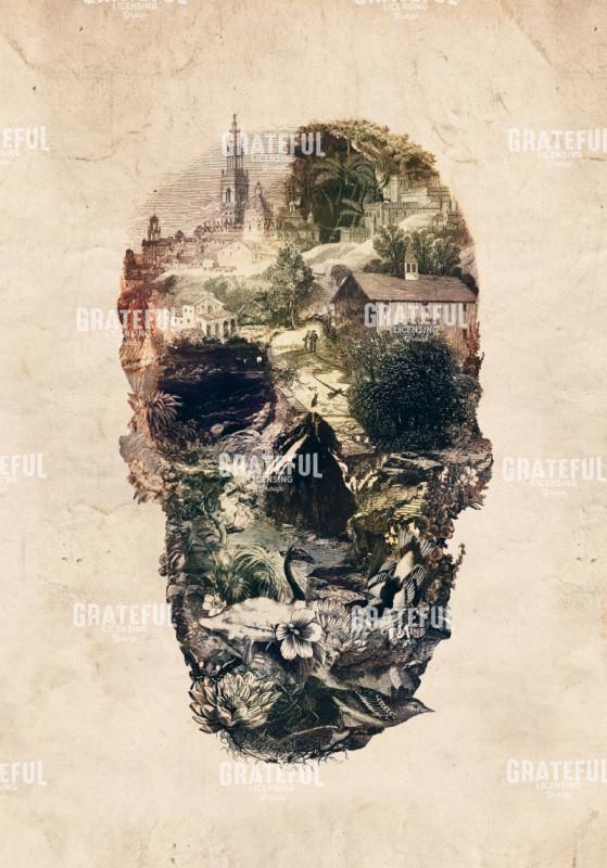 Town Skull