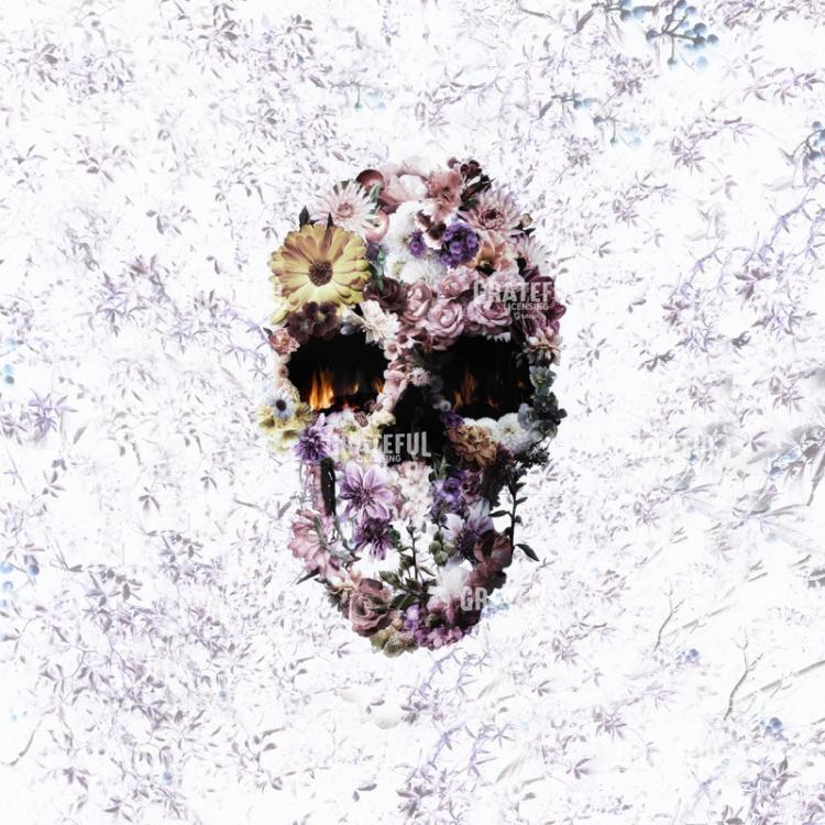 Upland Skull Light