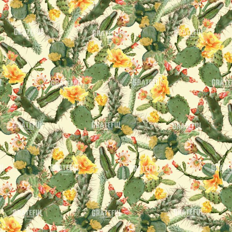 Cactus