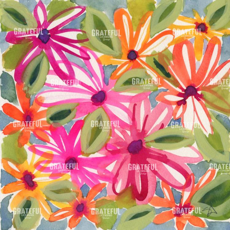 Daisies.jpg