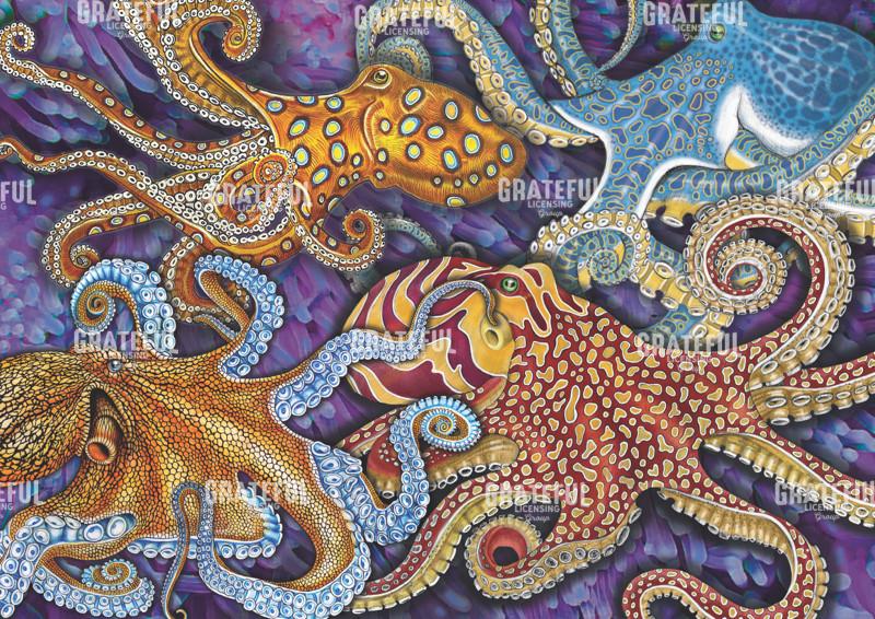 Octopus Collage