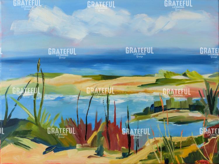 Wellfleet Beach