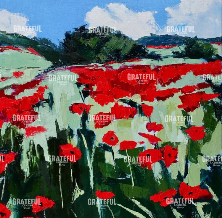 Poppy Field
