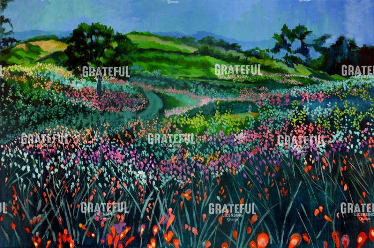 Field of Flowers