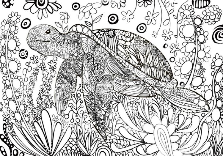 Black & White Turtle