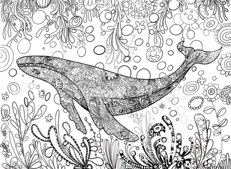 Whale Black and White