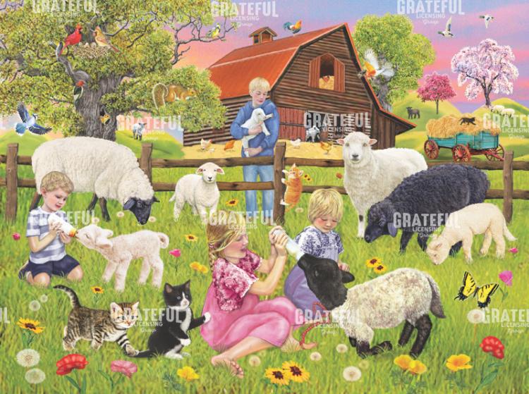 Lambing Time