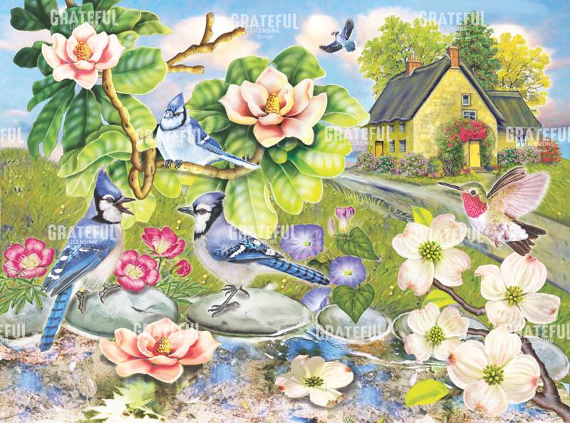 Jay Talk Under Magnolias