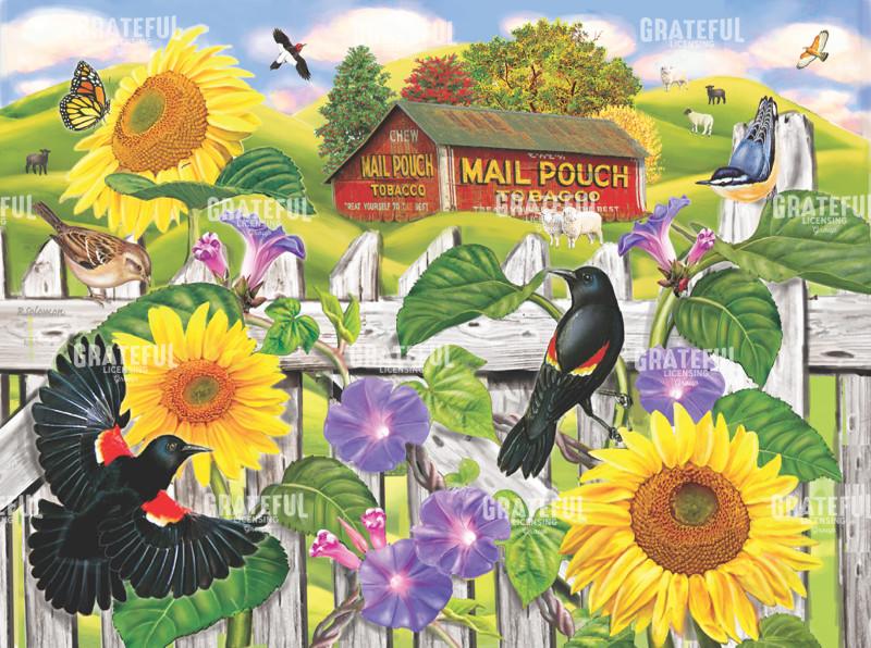 Sunflowers And Blackbirds