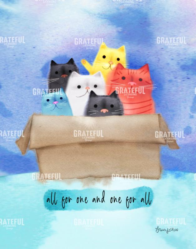Colorful Cats in a Box
