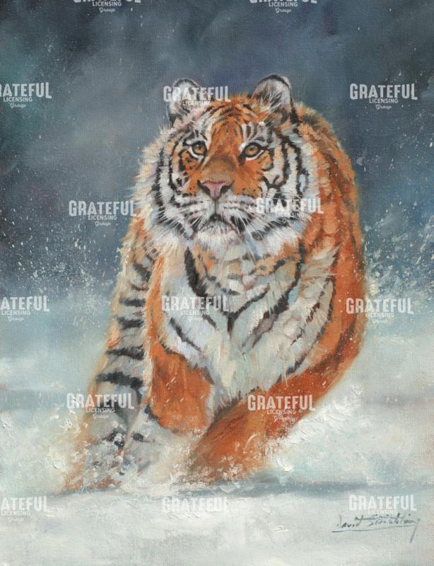 Tiger Running in Snow