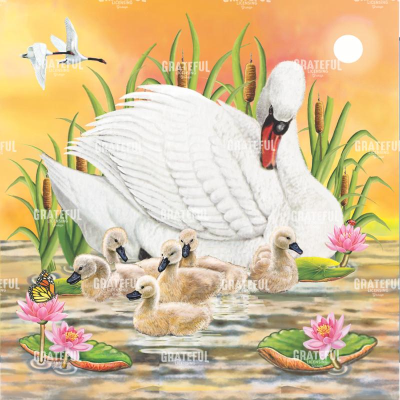 Mother Swan at Sunset