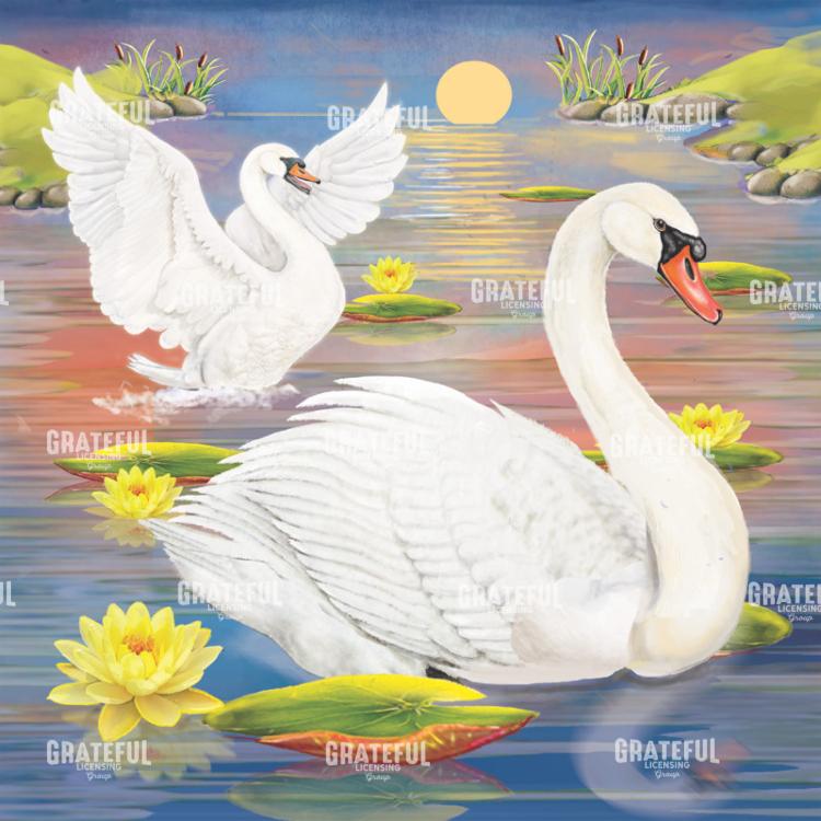 Two Swans at Sunset