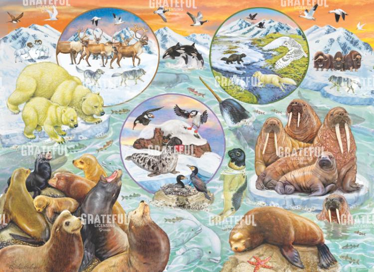 Arctic Magic