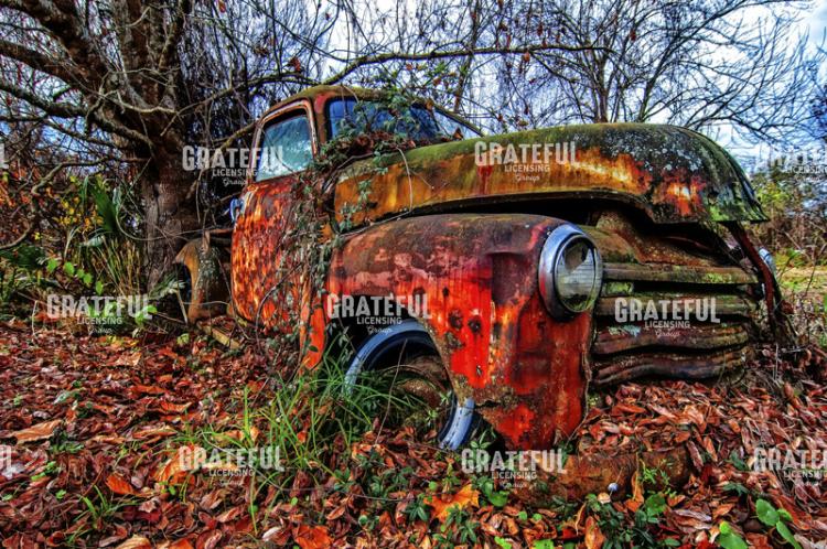 Old 1950 Rusty Pickup