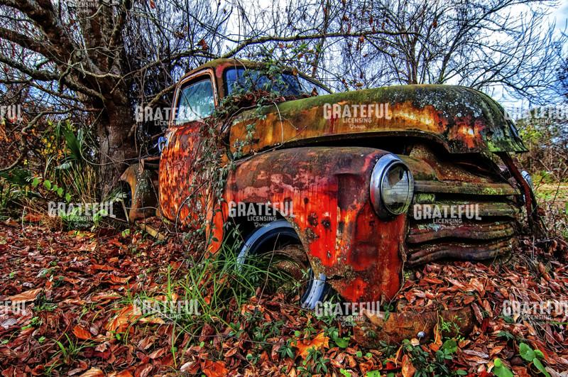 Old 1950 Rusty Pickup