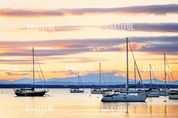 Serene Champlain