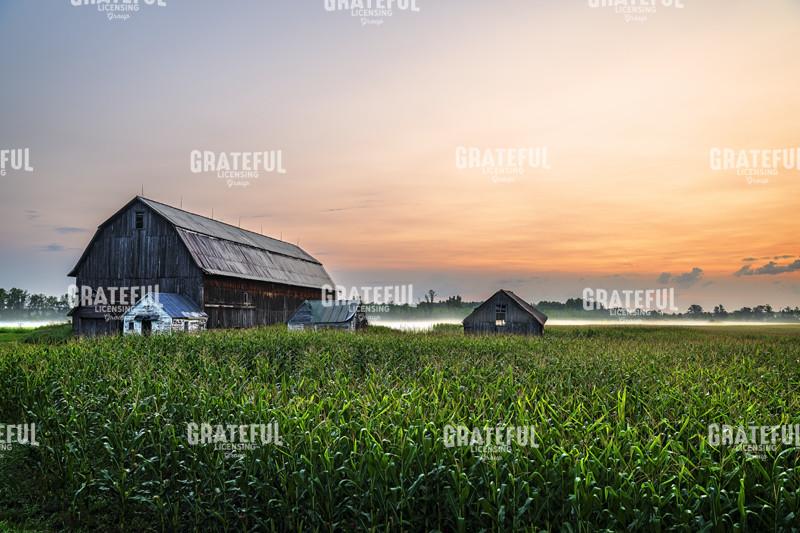 Morning Breaks at the Old Farm