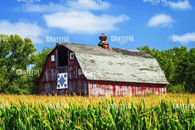 Afternoon at an Iowa Barn