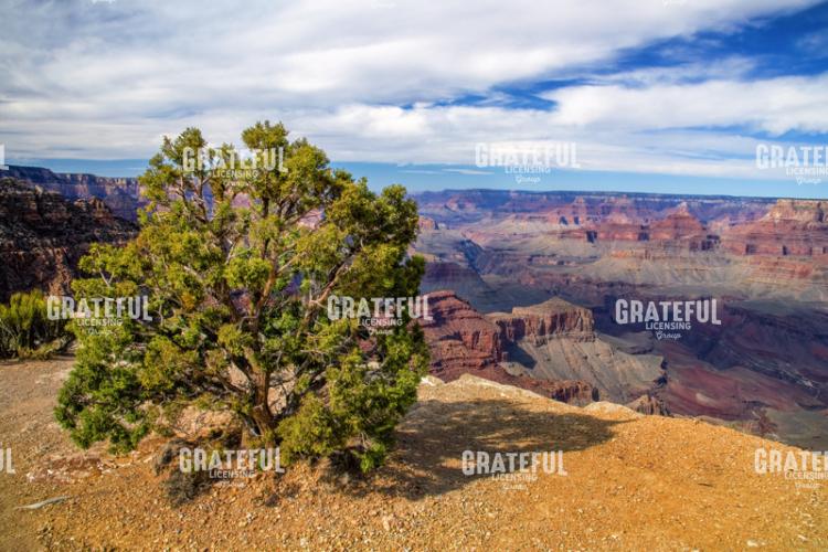 Standing on the South Rim