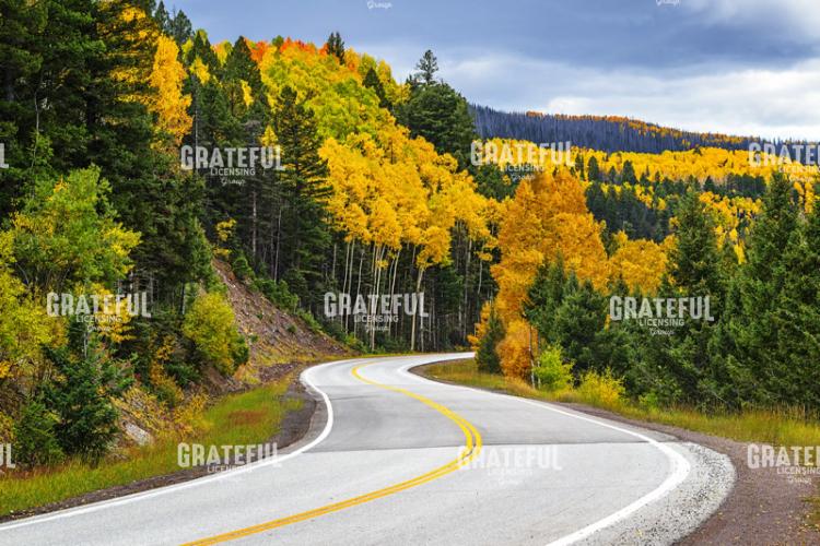Autumn's Journey