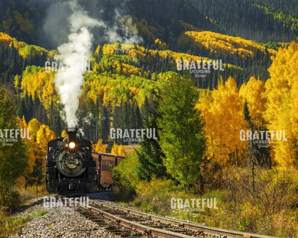 The 9 O_clock from Chama