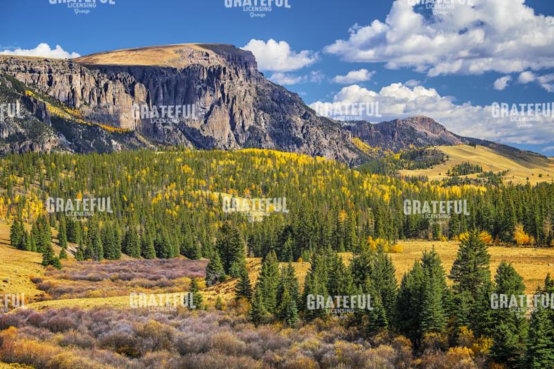 Fall Below Bristol Head