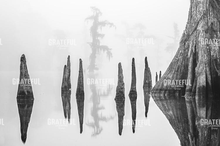 Reflections of Verret