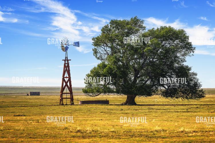 Volner Cattle Company Day Ranch