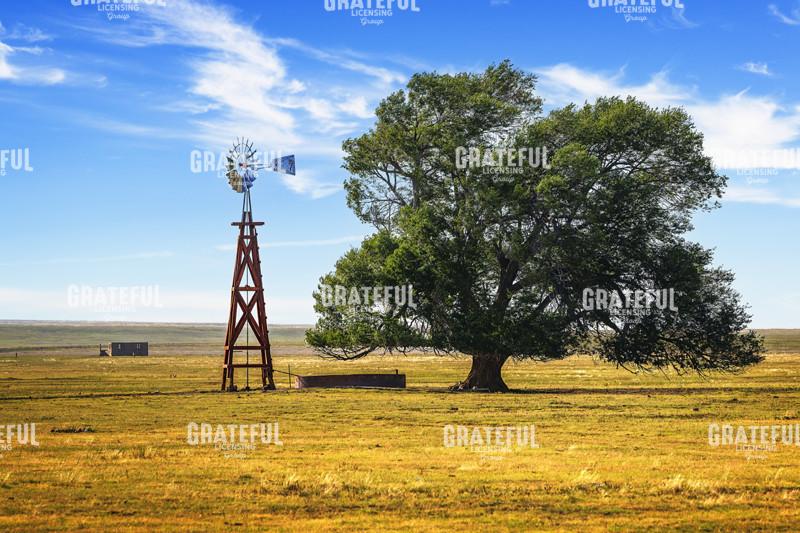 Volner Cattle Company Day Ranch
