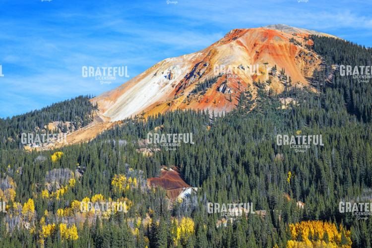 Fall Color on Red Mountain