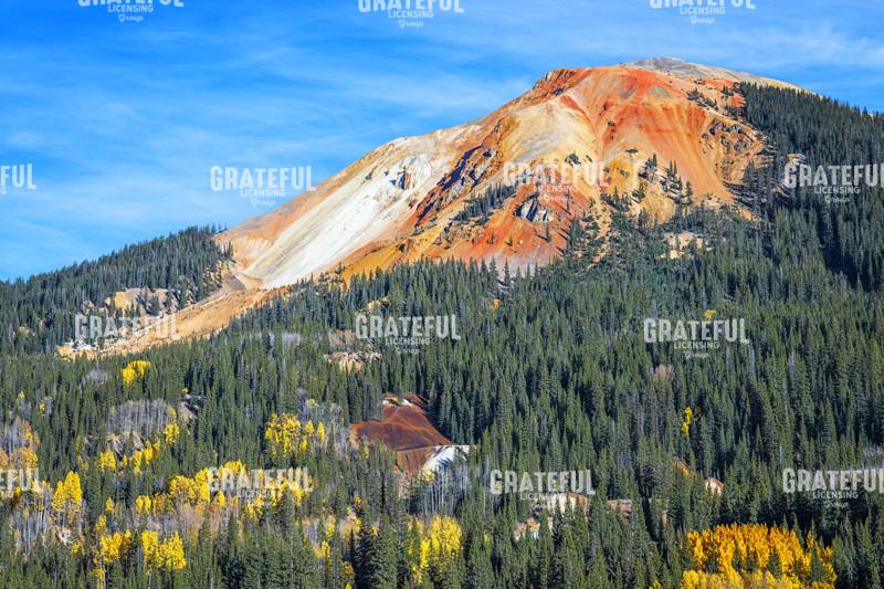Fall Color on Red Mountain