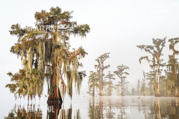 When the fog breaks