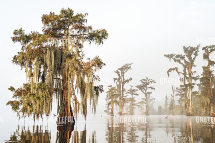 When the fog breaks