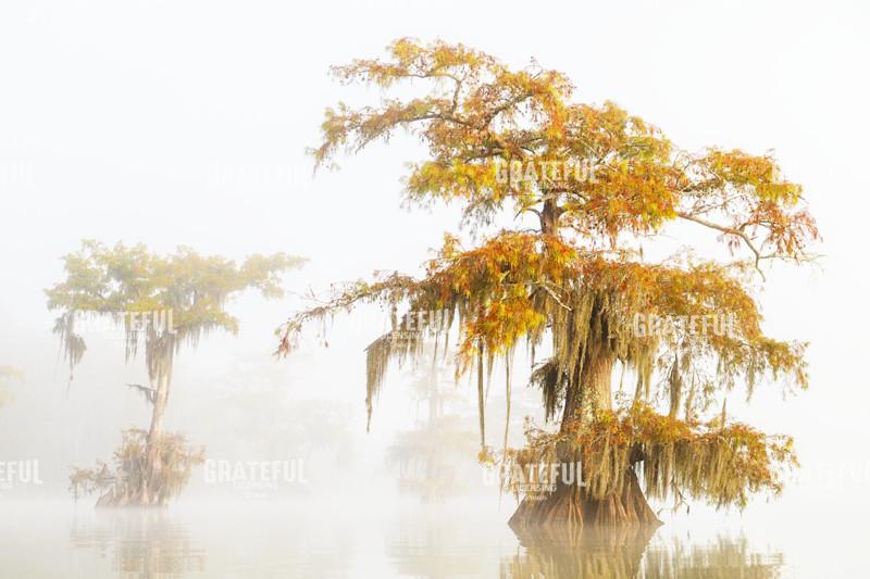 First Blush of Fall at Lake Dauterive