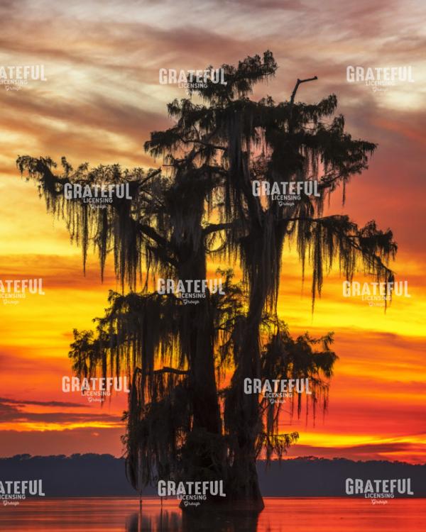 Last Light Over Lake Verret