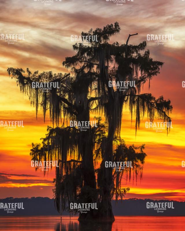 Last Light Over Lake Verret