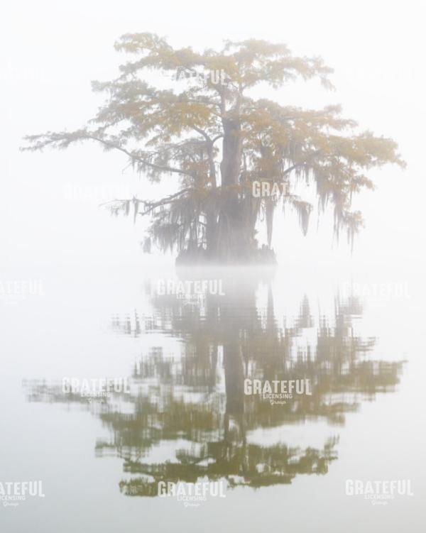 Lost in the Mists of Time