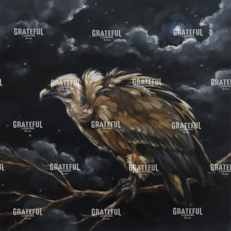 Vulture - MIDNIGHT