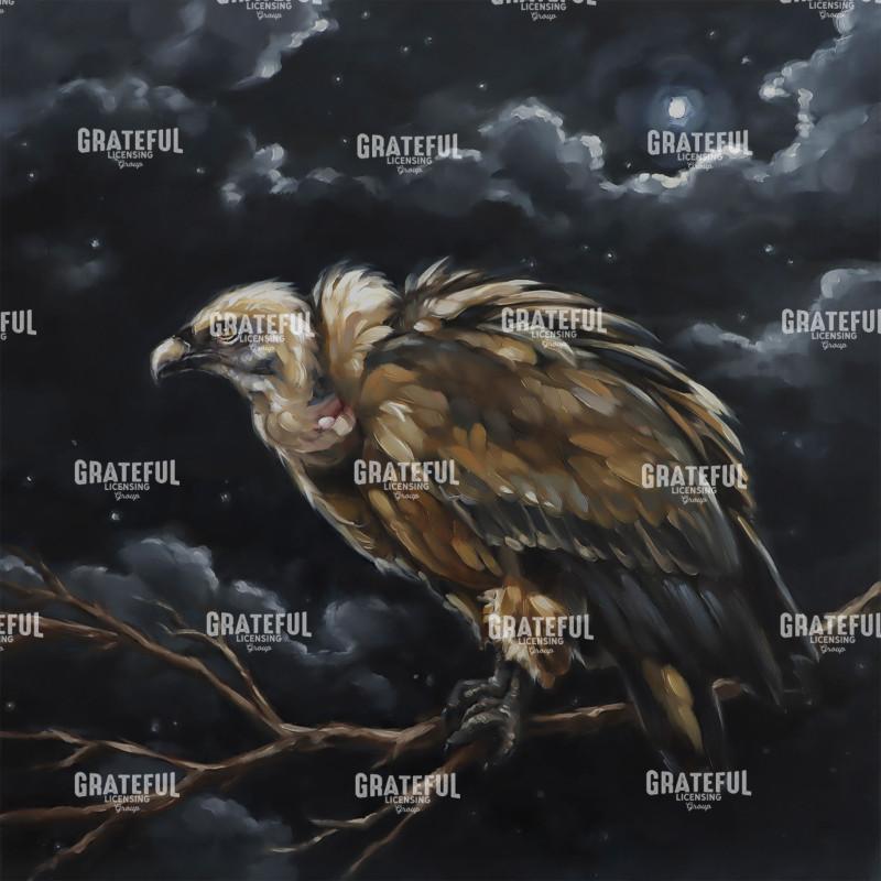 Vulture - MIDNIGHT