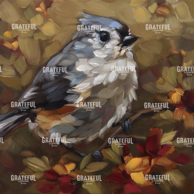 Sunset Tufted Titmouse