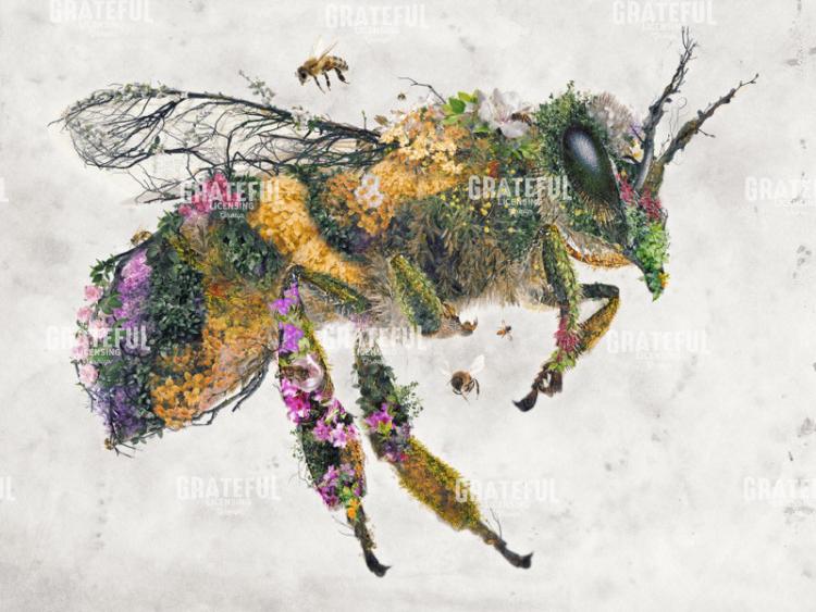 Honeybee