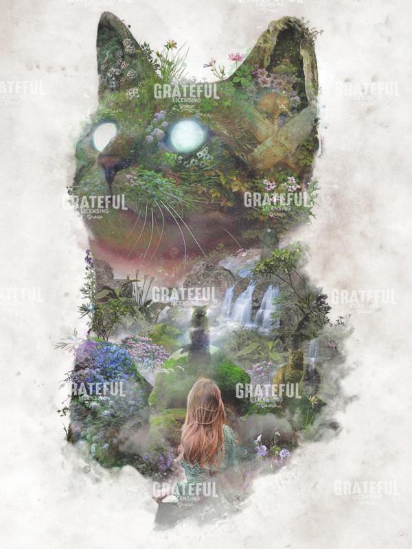 Lost but not Forgotten